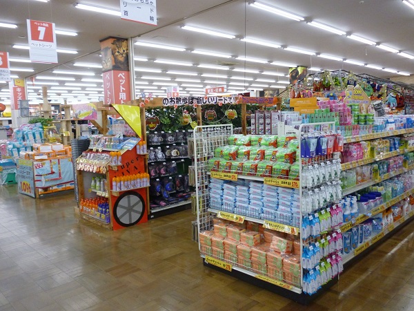 呼和浩特市貨架